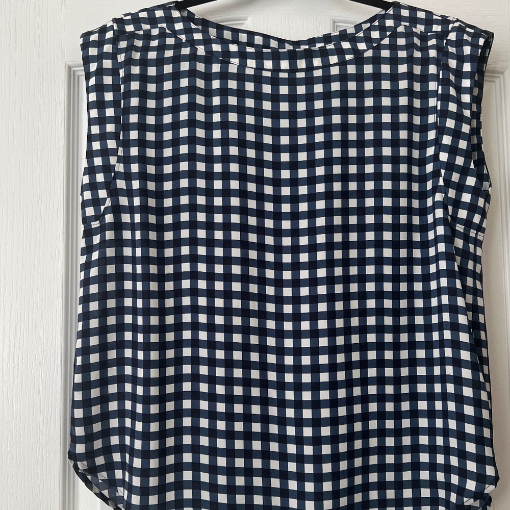 Ann Taylor Factor Blue and White Check Blouse